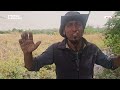 مزارعو دير الزور يسارعون لإنقاذ محاصيلهم ومواشيهم من فيضان "الفرات"