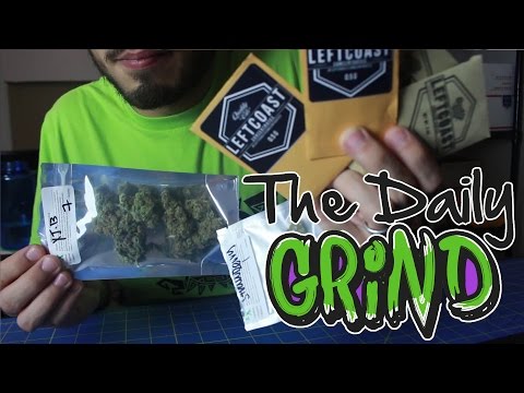 Daily Grind - Dispensary Run