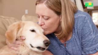 Dodo Heroes Ep1 Preview Meet Chichi The Energetic Amputee Puppy