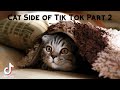 Cat Side of Tik Tok Part 2