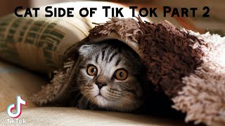 Cat Side of Tik Tok Part 2