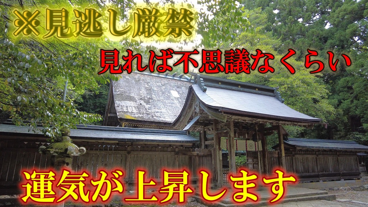 ※見逃し厳禁【パワースポット旅　若狭彦神社/福井県小浜市竜前】見れば運気が上昇し始めます