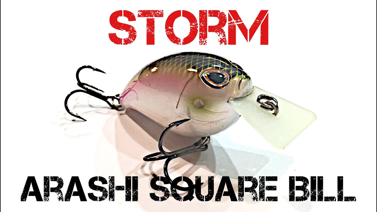 Lure Review- Storm Arashi Square Bill 