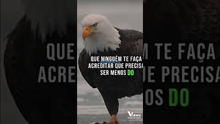 AUTOCONFIANÇA E LIMITES!!