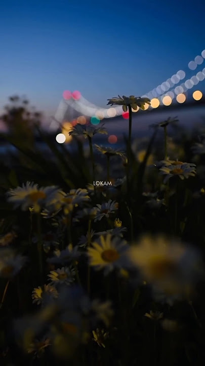 @rohith_lyricals @#telugu #dhanush #sidsriram #viral #explorepage #reels #trending #samantha