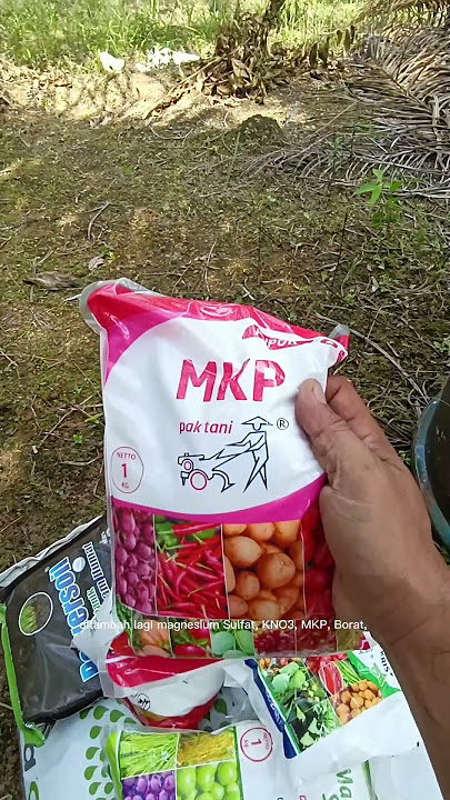 Pupuk Cair Buah Sawit Tanpa Permentasi, Langsung Kocor #pupukcair #perangsangbuah #pupukbuah
