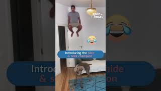 Guy Climbs on Door and Confuses his Pets by Calling Them in Room