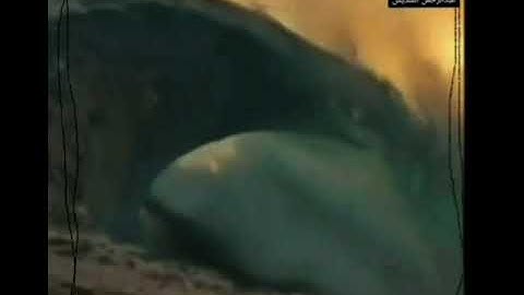 او كظلمات في بحر لجي .اية 40 . سورة النور .عبدالرحمن السديس