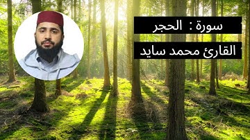 سورة  الحجر بصوت القارئ محمد سايد