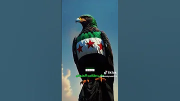يا سورية فجرك طل 