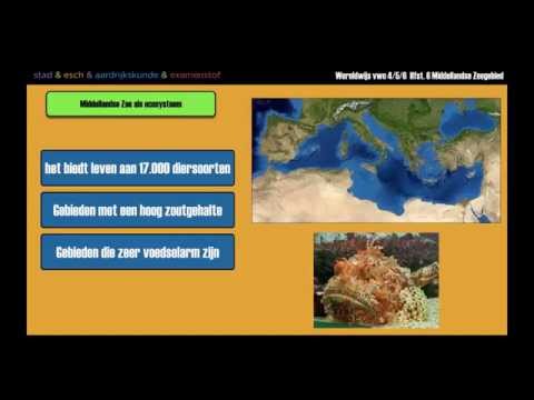 Wereldwijs vwo 4/5/6 hoofdstuk 6 §8 vervuiling van zee en kustgebieden