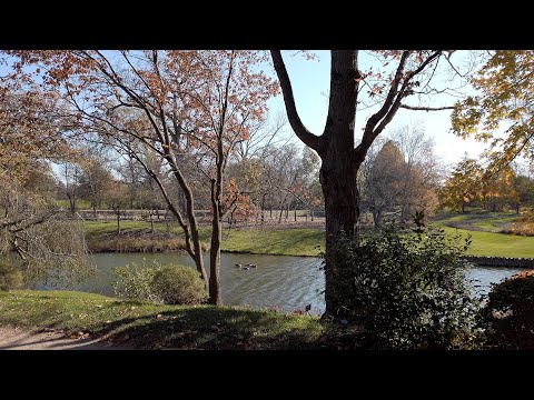 A Tour of Chicago Botanic Garden - 4K