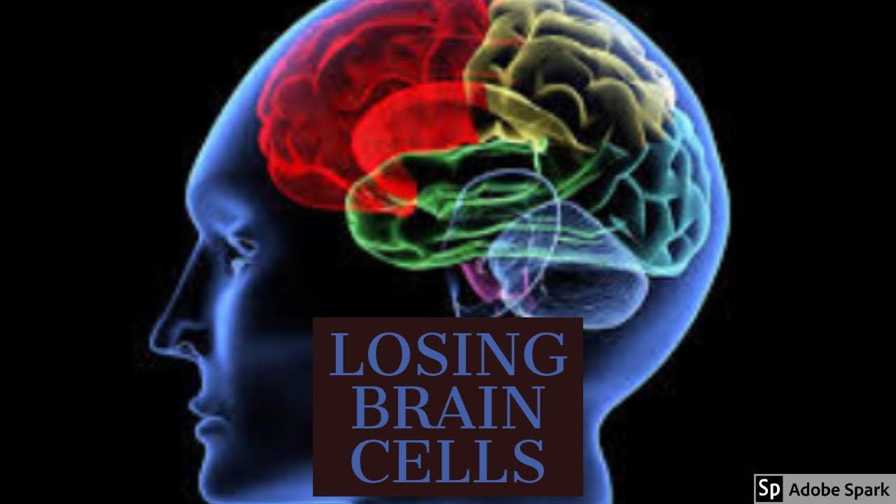 Losing Brain Cells Fortnite Battle Royale Blitz V2 Youtube