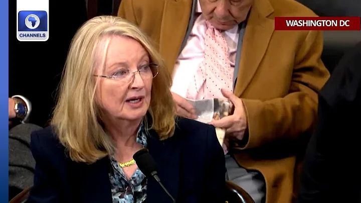 Congress Hearing: Nigerians Among Most Successful Immigrants In US - Nina Shea