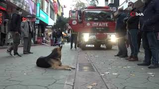 Izmit Fethiye Caddesinde Mazgal Incelendi