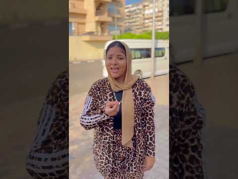 شوفت الفار السندق
