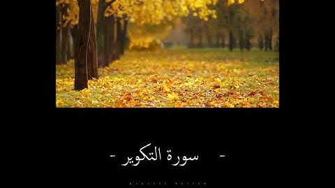 القارئ سليمان العتيبي - جزء عم