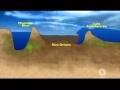 PBS predicted Hurrican Katrina disaster