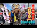 りーちくん初めてのお祭り‼︎２０２3年鹿児島神宮『初午祭』目の前で大きなお馬さんが踊ってたよ♪