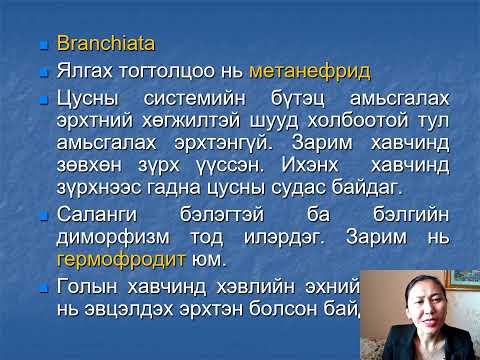 Видео: Decapods: бүтцийн онцлог, төлөөлөгчид, гэрэл зураг. Хавч, хавч, сам хорхой