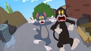 The Tom And Jerry Show - Vegged out by Gary8687 182,851 views 5 years ago 2 minutes, 59 seconds