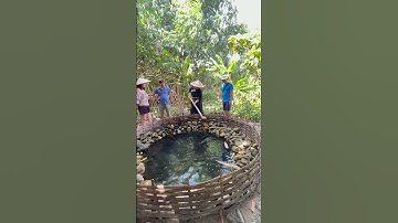 Khám phá một nét văn hoá dân tộc Tày tại bản làng Thái Hải - Giếng làng