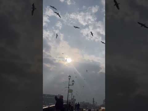 زعلان من كل البشر