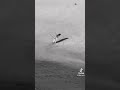مرت كالغزاله صوبتني وانا صياد اشتراك لايك