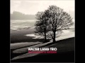 walter lang trio  "country"