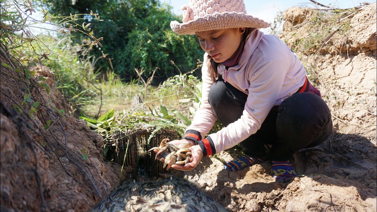 women using crazy trap to catch a lot of fish - how to catch fish using