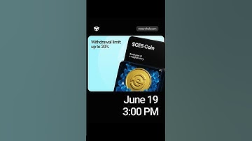 Meta Whale Community – Important Update