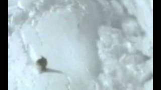 Travis Rice Avalanche