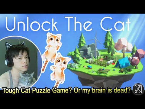 Unlock The Cat Puzzle Game Playthrough Stage 34 - 40