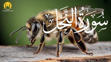 تلاوة في قمة الابداع .. من سورة النحل ..تلاوة بصوت ملائكي #quran