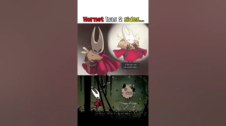 Hornet has Two Sides - Hollow Knight Silksong