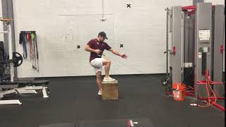 STEP UP 1 ARM LOW CABLE ROW