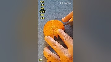 Địa chỉ mua trà hoa cúc hoa nhài tại Hà Nội và cách tỉa hoa từ củ quả #shorts