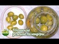 Квашеные зеленые помидоры как бочковые на зиму