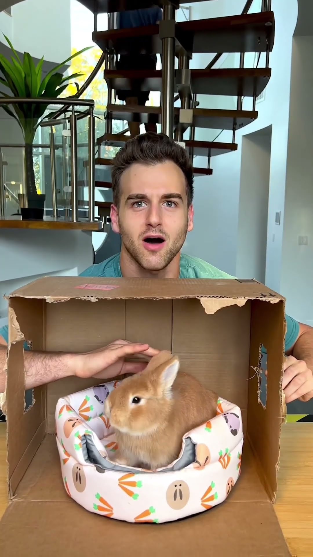 Guess What's In The Box Challenge! ?