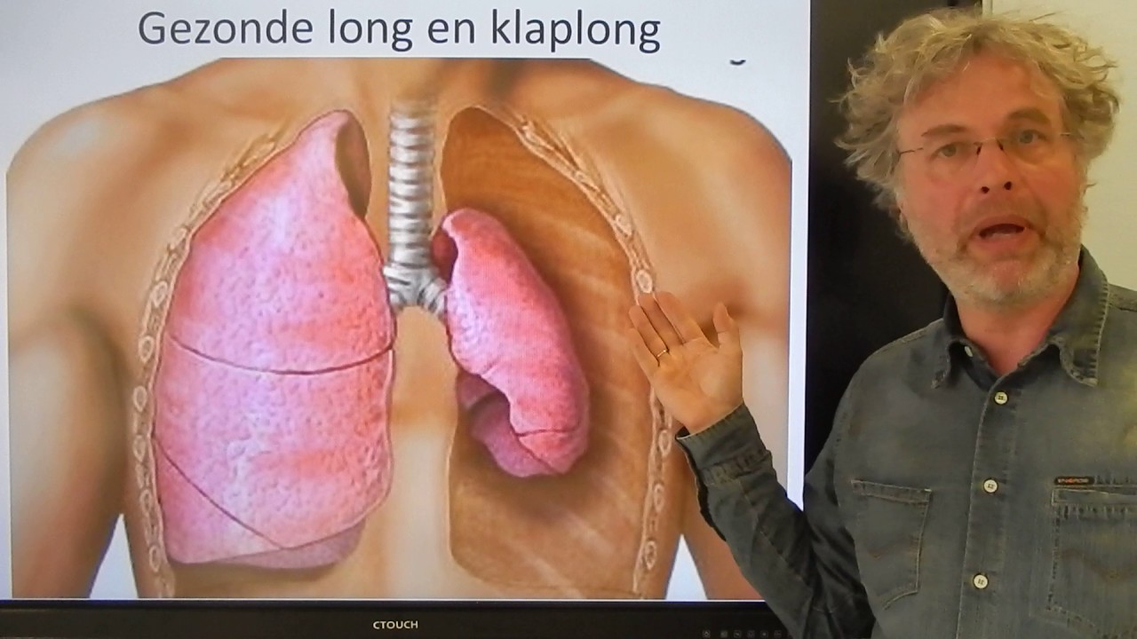 Biologie HV OB Klaplong - YouTube