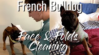 How To Clean Your French Bulldog's Face and Folds