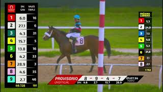 Vidéo de la course PMU PRIX TORO NEGRO