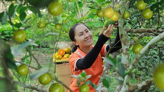Harvest Tangerine Garden goes to the market sell - Meal alone | Emma Daily Life