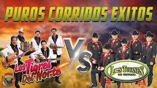 Los Tucanes De Tijuana, Los Tigres Del Norte - Puros Corridos Perrones Mix 2023