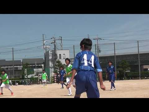 打ち上げ花火 下から見るか 横から見るか 岩井俊二 大根仁