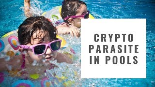 'Crypto' Fecal Parasite | Dr. Nandi