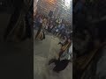 علواه دبكه لبنانيه 