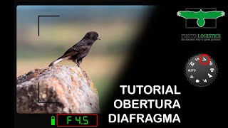 Tutorial Obertura de Diafragma des de Hide en Català