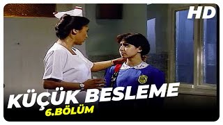 Küçük Besleme -  6.Bölüm