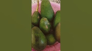 سورة الشرح بصوت الشيخ ماهر المعيقلي ...